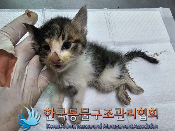 종료(자연사) 한국…
